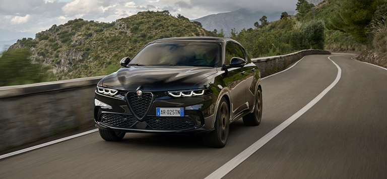 Tonale Gallery Slider n.7